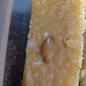 Geçmemiş Son Kullanma Tarihli Şam Tatlısı Küflendi Ve Gıda Güvenliği Endişesi