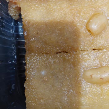 Geçmemiş Son Kullanma Tarihli Şam Tatlısı Küflendi Ve Gıda Güvenliği Endişesi