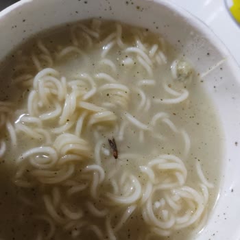 Migros Noodle Bardakta Böcek Tespiti Hijyen İhlali