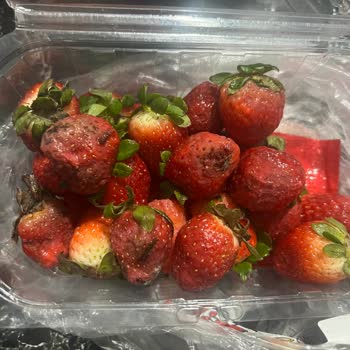 Migros Sanal Market'te Küflü Çilek Gönderimi Ve Çözüm Açığı