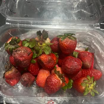 Migros Sanal Market'te Küflü Çilek Gönderimi Ve Çözüm Açığı