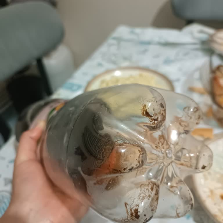 Juss Meyve Suyu İçinde Yabancı Madde!