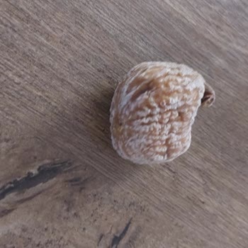 Otto Kuru İncirlerde Çürük Ve Küflü Ürünler Nedeniyle Sağlık Endişesi