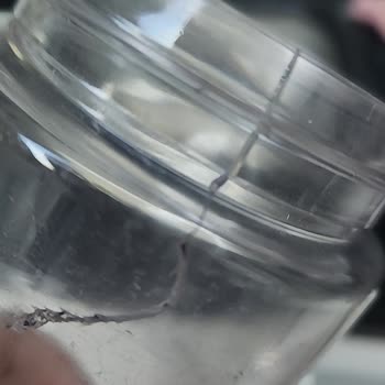 Goldmaster GM 7259 Mixup Blenderin Tritan Haznesi Çatladı, Parça Değişimi Talebi