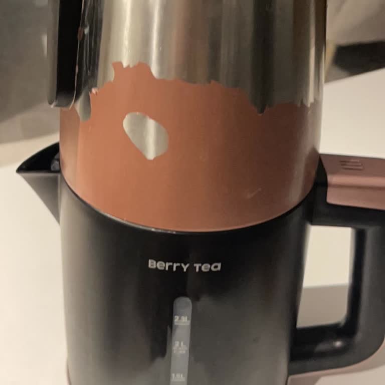 Çaycı Boya Soyulması Ve Dayanıklılık Sorunu