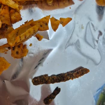 Çocuğumun Tükettiği Patos Rolls Ürünün İçinde Yabancı Cisim Ve Böcek Kalıntısı