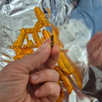 Çocuğumun Tükettiği Patos Rolls Ürünün İçinde Yabancı Cisim Ve Böcek Kalıntısı