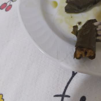 Burcu Gıda Yaprak Sarmasından Saç Teli Çıkması