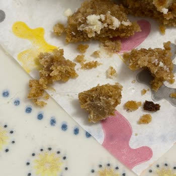 Lotus Cheesecake’te Yabancı İplik Benzeri Cisim, Hijyen İhlali