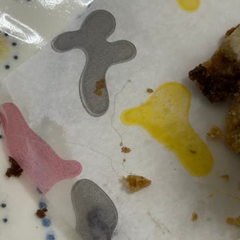 Lotus Cheesecake’te Yabancı İplik Benzeri Cisim, Hijyen İhlali