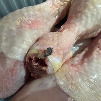 Gedik Piliç Baget Ürünü Gaz Kokulu Bozuldu, Sağlık Riski Oluşturdu