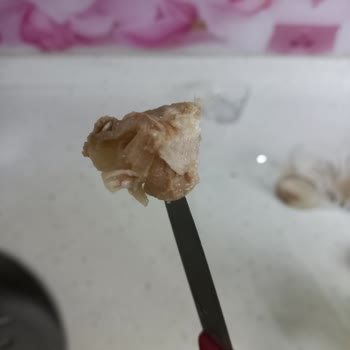 BİM Torku Kavurmasında Sert Kıkırdak Ve Yağ Bezesi