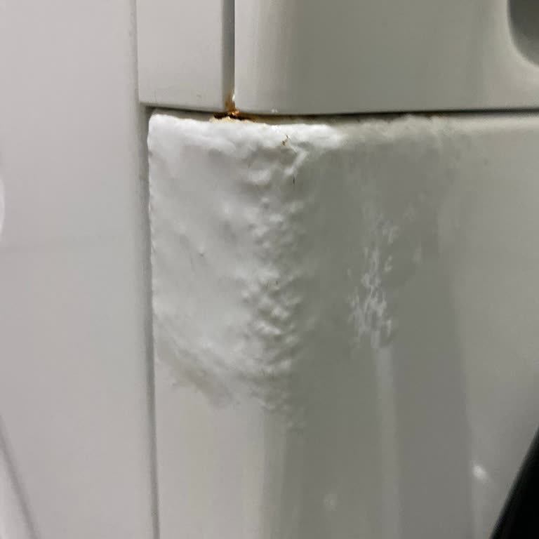 Siemens Çamaşır Makinesinde Deterjan Çekmecesi Su Sızdırıyor Ve Ücretsiz Servis Talebim