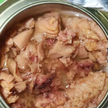 Son Kullanma Tarihi Geçmemiş Dardanel Ton Balık Konservesinde Sağlık Endişesi Yaratıyor