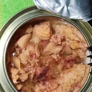 Son Kullanma Tarihi Geçmemiş Dardanel Ton Balık Konservesinde Sağlık Endişesi Yaratıyor