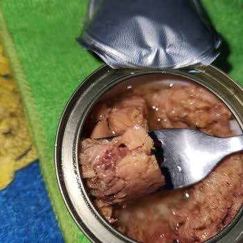 Son Kullanma Tarihi Geçmemiş Dardanel Ton Balık Konservesinde Sağlık Endişesi Yaratıyor