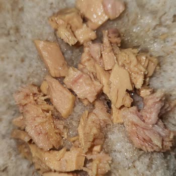 Son Kullanma Tarihi Geçmemiş Dardanel Ton Balık Konservesinde Sağlık Endişesi Yaratıyor