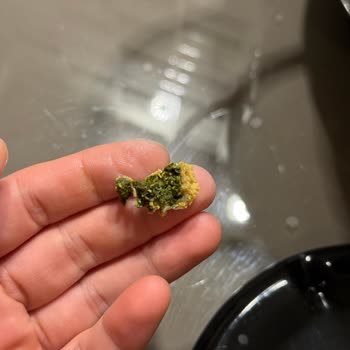 Balık Dünyası Temizlenmemiş Midye İçi, Hijyen Riski Ve Zaman Kayıpları