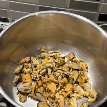 Balık Dünyası Temizlenmemiş Midye İçi, Hijyen Riski Ve Zaman Kayıpları