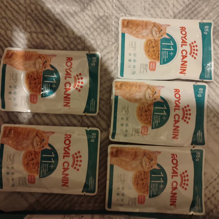 Yemeksepeti Köpek Maması Yerine Kedi Maması Gönderildi Ve Çözüm Yok