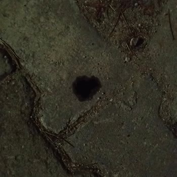 Türkiye Sigorta Kasko Poliçemdeki Yağ Sızıntısı Ve Yan Maşpiyel Hasarının Kapsam Dışı Bırakılması