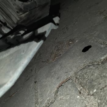 Türkiye Sigorta Kasko Poliçemdeki Yağ Sızıntısı Ve Yan Maşpiyel Hasarının Kapsam Dışı Bırakılması