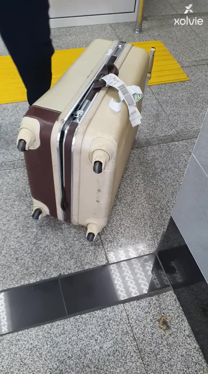 Аэрофлот испортил багаж — требуют компенсацию за поврежденный чемодан после рейса обложка видео