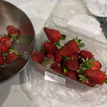 Küflenmiş Çilek Satışı İçin İade Talebi Ve Hijyen Kontrolü İsteği