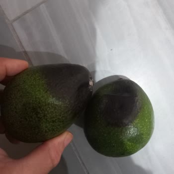 Bozulmuş Avokado Ve Soğan, Şikayet Çözülmedi Ve Fazla Ücret İadesi Talebi