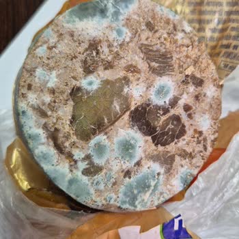 Buzdolabında Saklamama Rağmen Kavurma Küflendi, Güvenim Sarsıldı