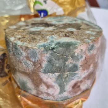 Buzdolabında Saklamama Rağmen Kavurma Küflendi, Güvenim Sarsıldı