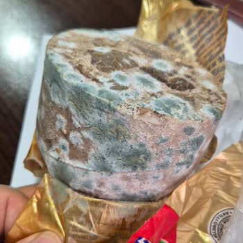 Buzdolabında Saklamama Rağmen Kavurma Küflendi, Güvenim Sarsıldı