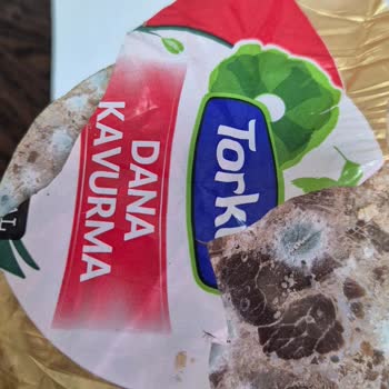 Buzdolabında Saklamama Rağmen Kavurma Küflendi, Güvenim Sarsıldı