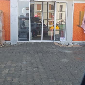 Migros Girişinde Yatan Köpek Hijyen Ve Gıda Güvenliğini Tehdit Ediyor