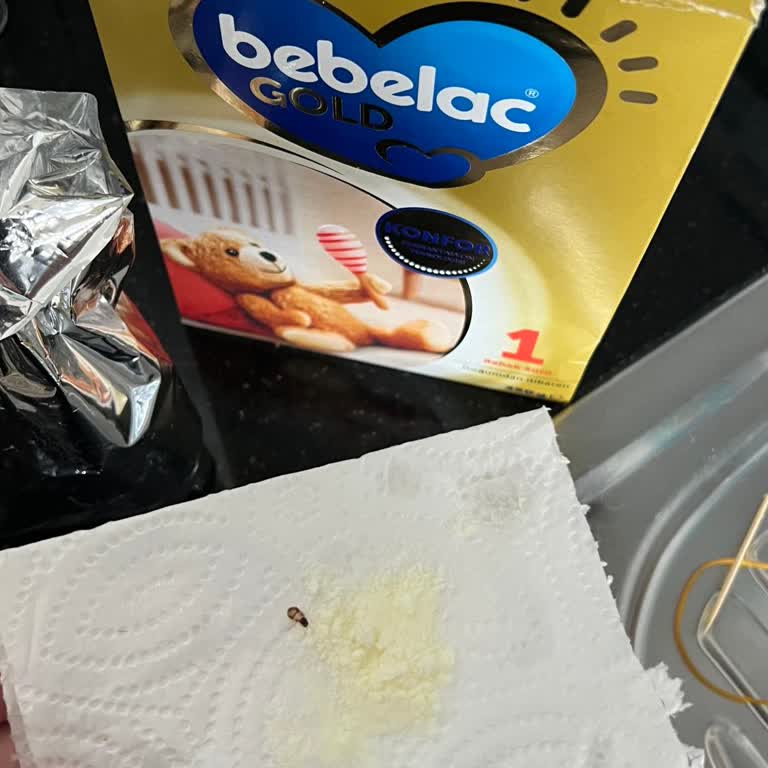Bebek Mamasında Ölü Böcek Bulunması: İade Ve Tazminat Talebi