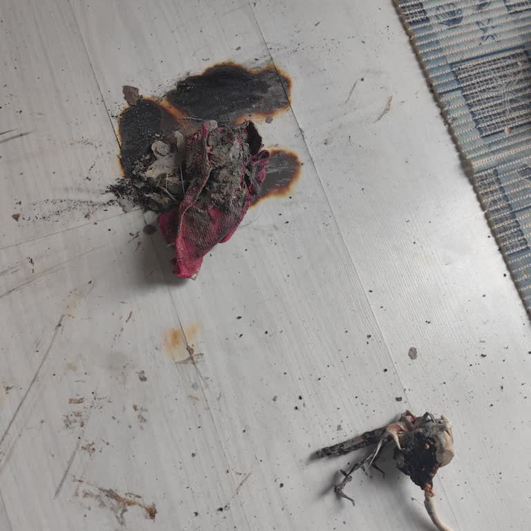 Sigorta Şirketinin Yangın Raporu Talebi Yüzünden Parke Değişimi Zorluğu