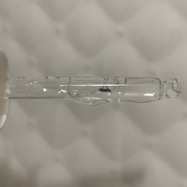 Pure Choice Serumu Şişesinden Böcek Çıktı: Sağlık Endişesi Ve Güven Kırılması