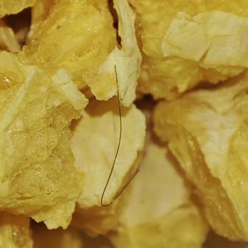 Bim Darıca Şubesinden Aldığım Portakal Kurusunun İçinde Kıl Çıktı