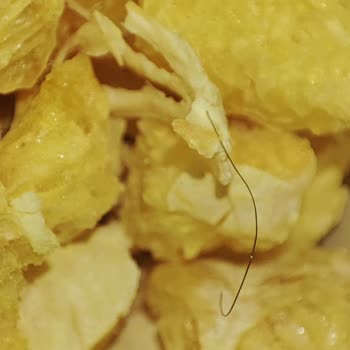 Bim Darıca Şubesinden Aldığım Portakal Kurusunun İçinde Kıl Çıktı