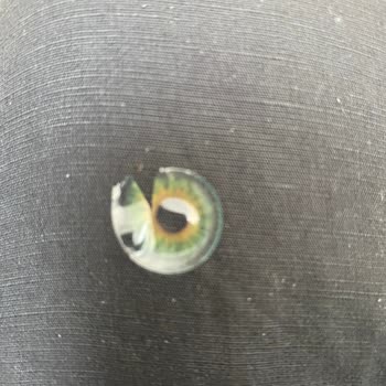 İconic Lens Fresh Green Lensi 8 Gün Sonra Yırtıldı Ve Değişim Talep Ediyor