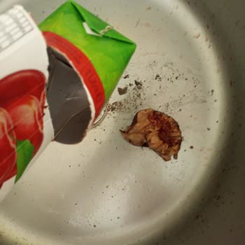 Carrefour SA Elma Vişne Suyunda Katmanlaşmış Küf Ve Sağlık Riski