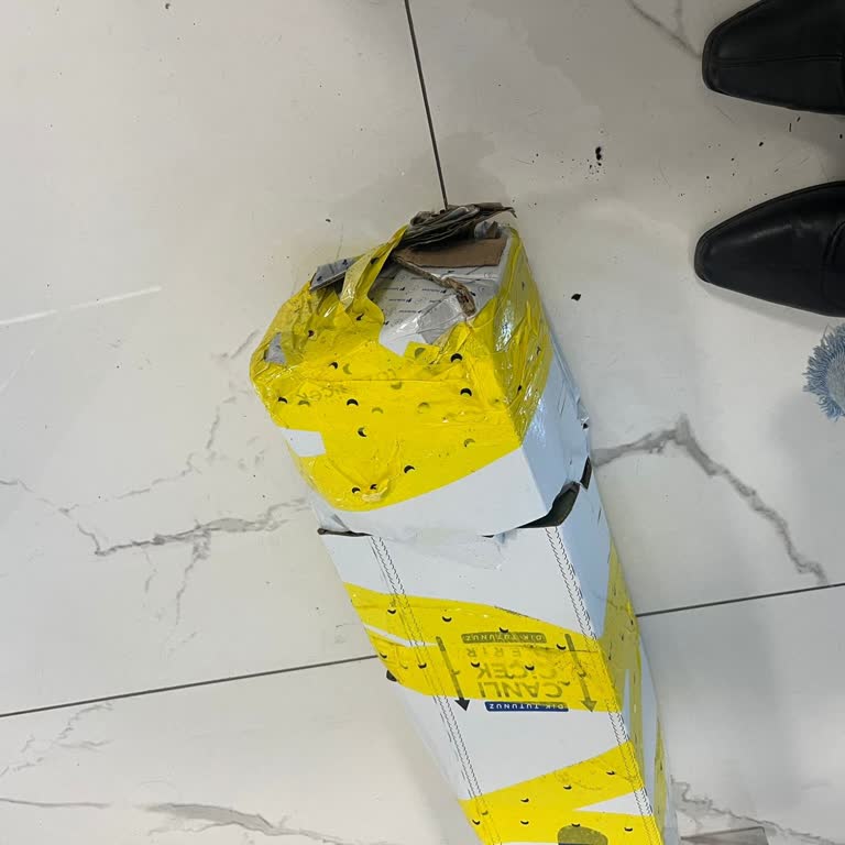 Patlamış Kutu Ve Toprak İçinde Çiçek: Hediye Gönderiminde Büyük Sorun