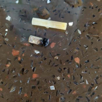 Süt Ürününün İçinde Sigara İzmariti Tespit Edildi