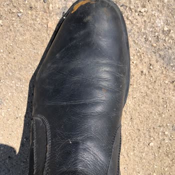 Tergan Botunun Derisi 10 Günde Soluklaştı, Değişim Talebi