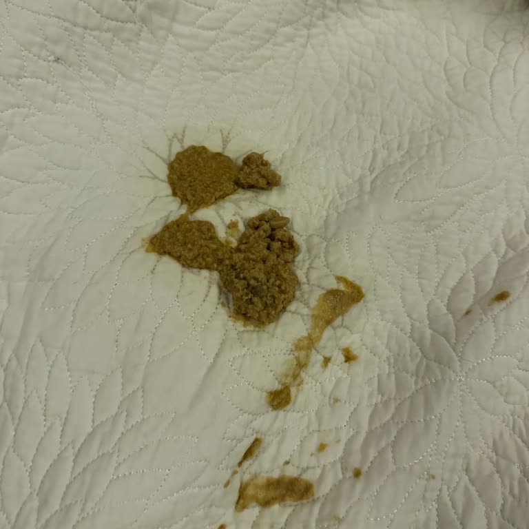 Tarım Ve Orman Bakanlığı Kedimde Raksharab Aşısının Şiddetli Yan Etkileri Ve Acil İnceleme Talebi