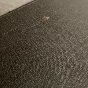 Enza Home'dan Defolu Mobilyalar Ve Geciken Teslimat Nedeniyle Düğün Öncesi Mağduriyet