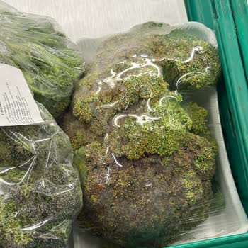 Migros Güneşevler Şubesinde Çürük Sebze Satışı