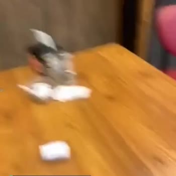 Yaprak Dönercisi Elvankent Şubenizdeki Masa Pisliği