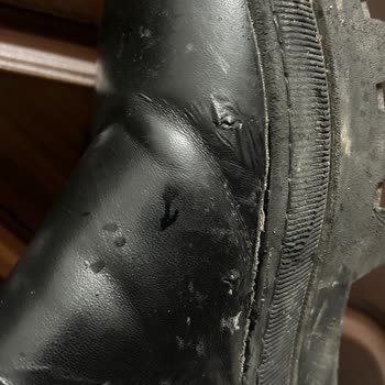 Lumberjack Çocuk Botunda Erken Soyulma Şikayetimiz Reddedildi