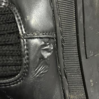 Lumberjack Çocuk Botunda Erken Soyulma Şikayetimiz Reddedildi